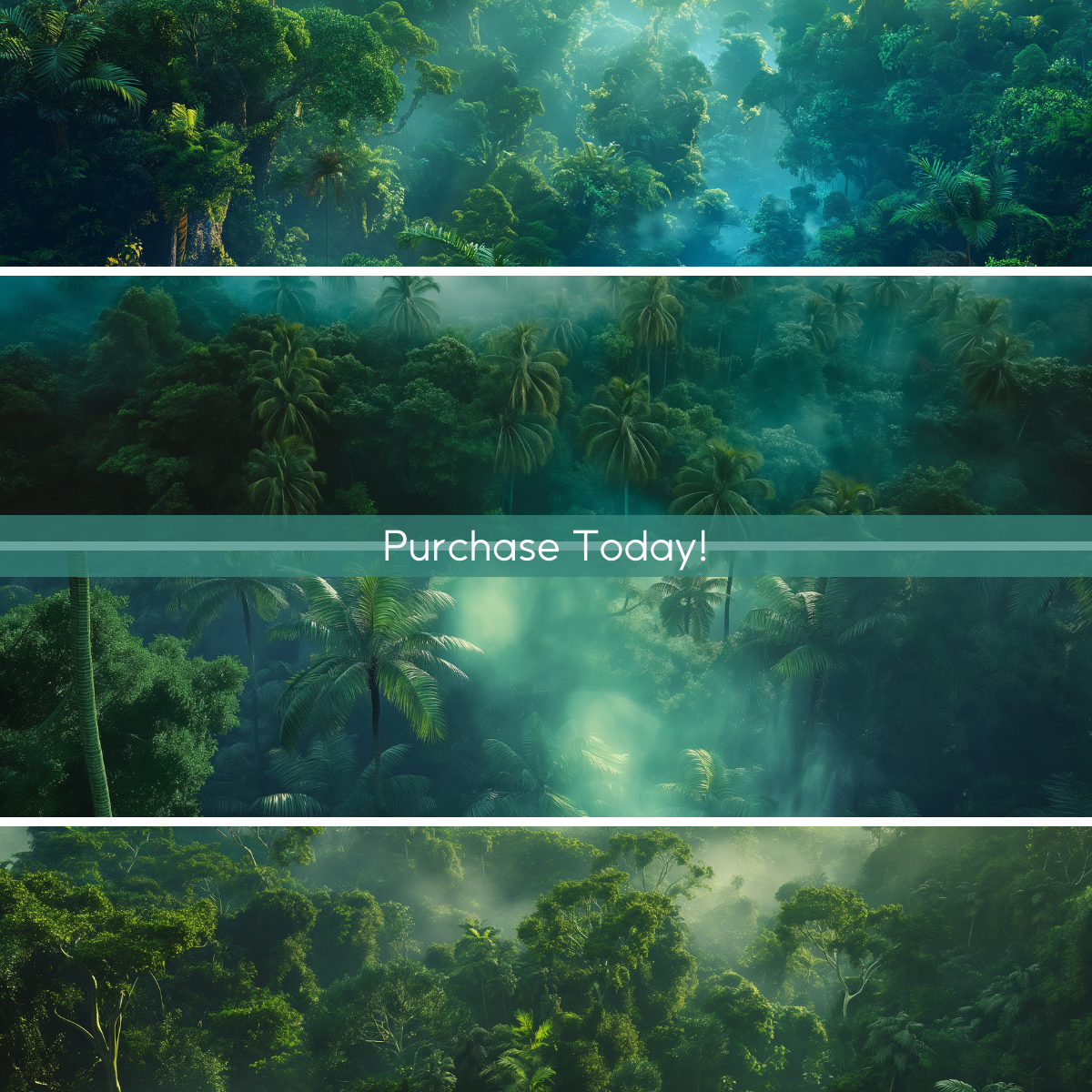 Dense Jungle Canopy Virtual Backgrounds Vol. 1 | 4 Zoom Virtual Backgrounds | Backdrop | Office Background | Microsoft Teams