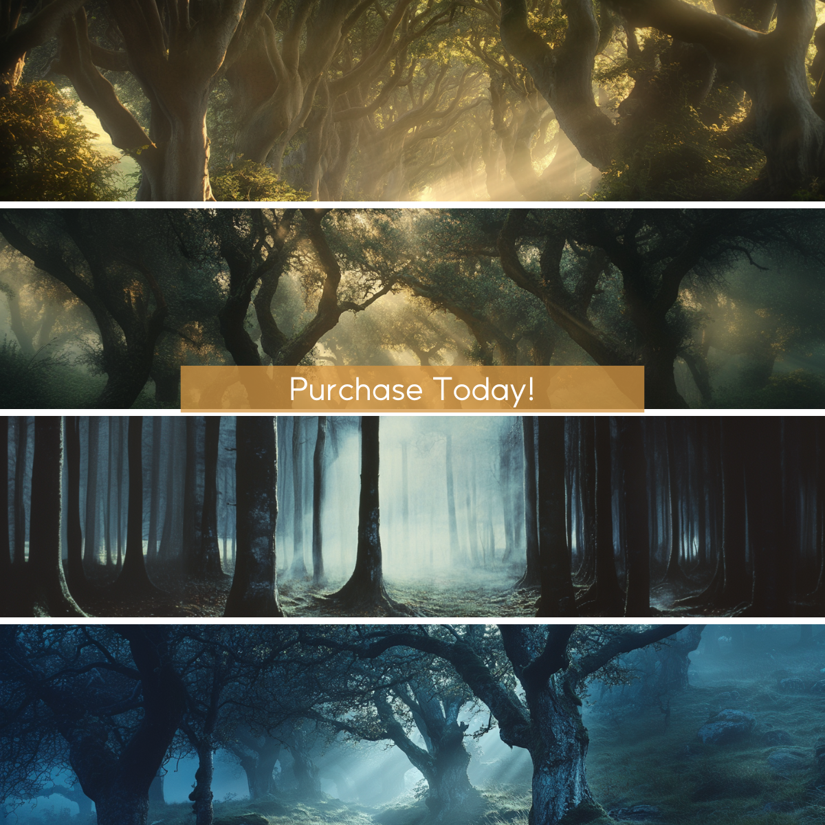Enchanted Forrest Virtual Backgrounds Vol. 1 | 4 Zoom Virtual Backgrounds | Backdrop | Office Background | Microsoft Teams | Google Meet